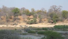 Pikriittilaavakerroksia Luenha-joella Keski-Mosambikissa. Kuva: Arto Luttinen.