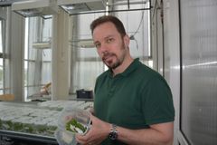 Jyväskylän yliopiston tutkija Juan Galarza tutkii, miten bakteerit vaikuttavat perhosten kemialliseen petopuolustukseen. Kuva: Jyväskylän yliopisto