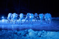 Lumikuningattaren laaja suomalainen ja kansainvälinen tähtikaarti valmistautuu esitykseen joulukuussa Asikkalassa. Kuva: Jouni Korhonen