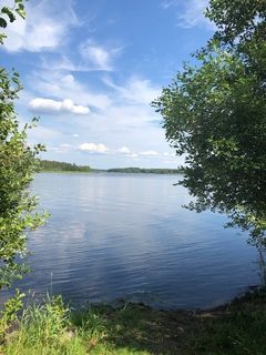 Pielisjoki heinäkuussa 2021. Kuva: Sanna Ruuska/Pohjois-Karjalan ELY-keskus.