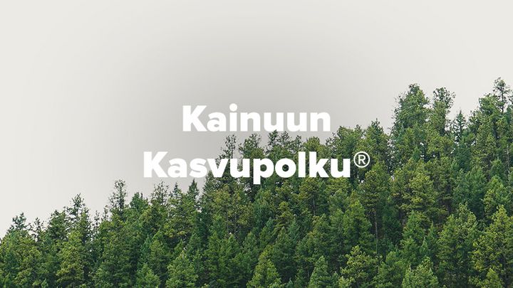 Kainuun Kasvupolun kumppanit ovat: Kainuun ammattiopisto (KAO), Kainuun liitto, Kaisanet Oy, Kainuun Yrittäjät, Kajaanin Ammattikorkekoulu Oy (KAMK), Kajaanin kaupunki, Lieksan Kehitys Oy LieKe, Oulun kauppakamari ja Pielisen Karjalan Kehittämiskeskus Oy PIKES.