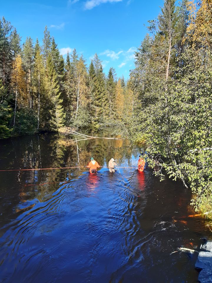 Virtavesikunnostusta Valtimolla. Kuva: Rosanna Sjövik / Pohjois-Karjalan ELY-keskus (2022)