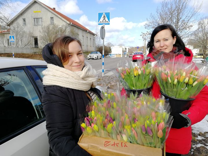 Emmi Ruotsalainen (vas.) ja Anu Arvilahti kotihoidosta ottivat kukat keskiviikkona vastaan ja toimittivat ne eteenpäin asiakkaille vietäviksi. Kuva: Naantalin kaupunki