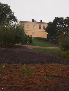 Suo levittäytyy Kumpulan kartanon alapuolelle (kuva: Laura Hiisivuori)
