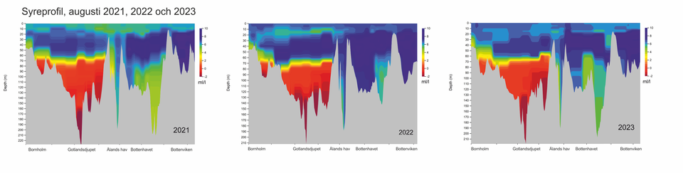 Syreprofil augusti 2021 2022 och 2023