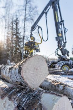 Metsäkone työskentelee talvisella korjuutyömaalla.