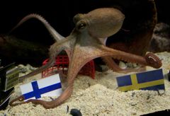 Lopullinen päätös