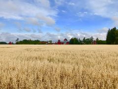 Anttilas familjegård i Forssa