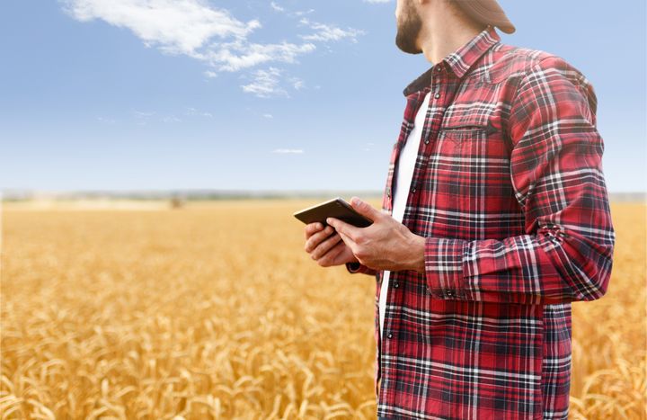 ULTIMA-etähallintajärjestelmän avulla viljelijä voi ohjata ja seurata viljan kuivausta mobiililaitteella tai tietokoneella.