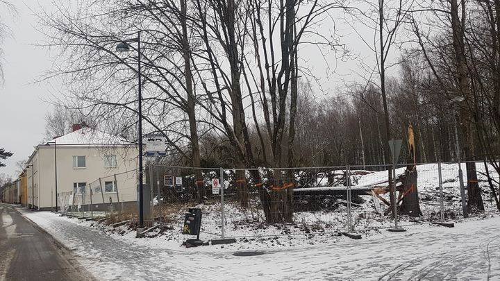 Limingantien varressa oleva kolmiomainen puisto jää puistoksi. Siellä oleva kuusi on kaatunut marraskuun Liisa-myrskyssä.