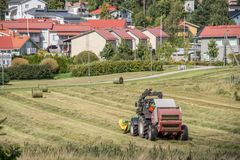 I Esbo finns över 30 gårdar. I anslutning till dem skulle man kunna bygga upp livsmedelsproduktion som är självförsörjande av till exempel energi och näringsämnen. Också stadens egen trädgård i Fantsparken skulle kunna inhysa en liten biogasanläggning, säger Tiia Tuuri.
Bild: Marko Oikarinen