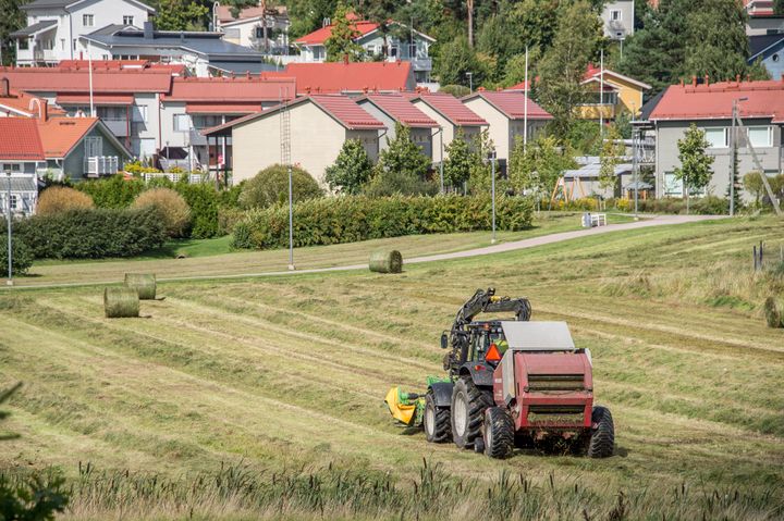 I Esbo finns över 30 gårdar. I anslutning till dem skulle man kunna bygga upp livsmedelsproduktion som är självförsörjande av till exempel energi och näringsämnen. Också stadens egen trädgård i Fantsparken skulle kunna inhysa en liten biogasanläggning, säger Tiia Tuuri.
Bild: Marko Oikarinen