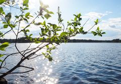 Vesialue Järvi-Suomessa.