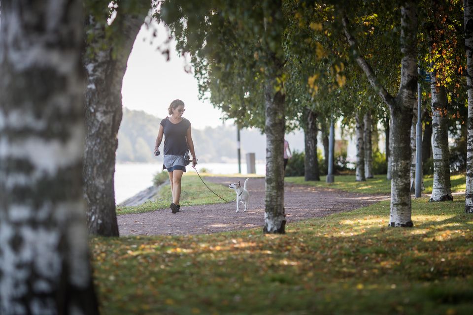 Suomen Kennelliitto haastaa kaikki kunnat mukaan kilpailuun Mistä