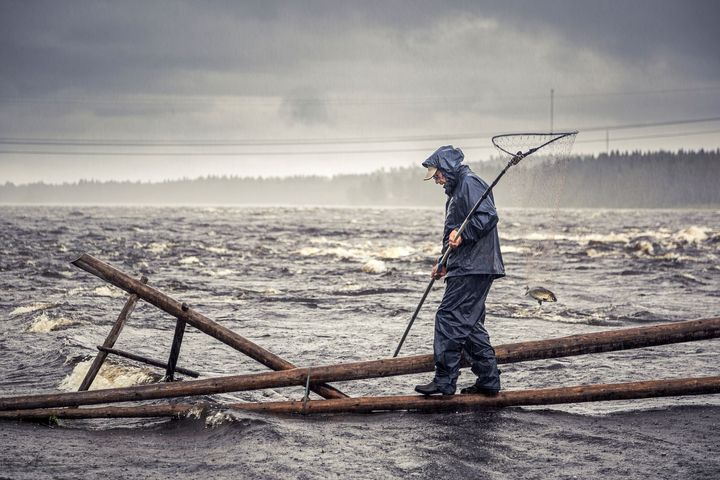 Tornionjoen perinteinen koskikalastus on yksi Elävän perinnön kansallisen luettelon 64 kohteesta. Kuva: Krista Kuusela