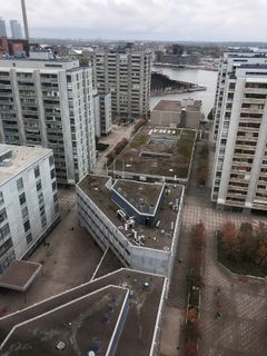 Merihaka ilmasta. Kuva: Annika Lepistö, Kenno Anthropological Consulting / Miltton Oy