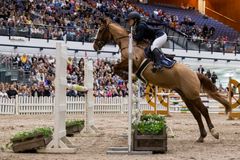 GoExpo Horsen estekisoissa hypätään jopa 140 cm korkeudelta. Kuva: Heidi Koivunen, Messukeskus.