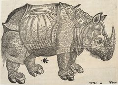 David Kandel (n. | c. 1520–1592) mukaan Albrecht Dürer (1471–1528)
Sarvikuono. 1515-1550, puupiirros  
Kuvitus teokseen Cosmographia (Sebastian Münster, 1488–1552). Tarton yliopiston taidemuseo