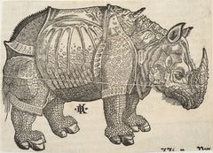 David Kandel (n. | c. 1520–1592) mukaan Albrecht Dürer (1471–1528)
Sarvikuono. 1515-1550, puupiirros
Kuvitus teokseen Cosmographia (Sebastian Münster, 1488–1552). Tarton yliopiston taidemuseo