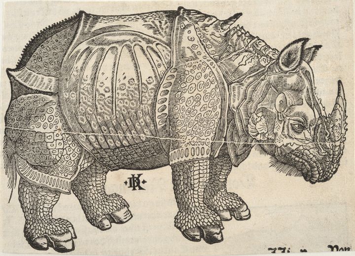 David Kandel (n. | c. 1520–1592) mukaan Albrecht Dürer (1471–1528)
Sarvikuono. 1515-1550, puupiirros
Kuvitus teokseen Cosmographia (Sebastian Münster, 1488–1552). Tarton yliopiston taidemuseo