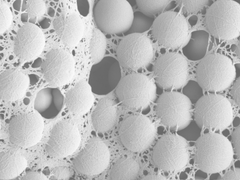 Pyyhkäisyelektronimikroskooppikuvassa näkyy nanoselluloosan muodostama kalaverkkomainen rakenne, joka on sitonut yhteen 1,15 mikrometrin kokoisia piidoksidihiukkasia. Kuva: Bruno Mattos / Aalto-yliopisto