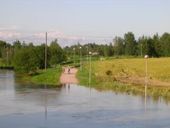 Ilmastonmuutoksen ennustetaan muuttavan sateiden vuotuista jakautumista, jolloin kasvukauden aikaiset tulvat voivat yleistyä. Vantaanjoen kesätulvissa vuonna 2004 kasvillisuudella oli merkittävä vaikutus tulvakorkeuteen. Kuva: Juha Järvelä