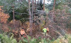 Seppälän kallioketoa aidataan Rantasalmella. Kuva: Hanna Huovinen.