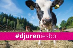 Dela din djurbild på Instagram med #djureniesbo så kommer den med på utställningen.