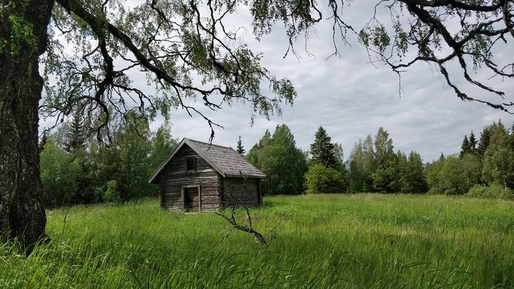 Ruovedellä sijaitsevalla Ruokkeenharjulla on kaunis perinnebiotooppiniitty. KUVA: Suvi Järvenpää