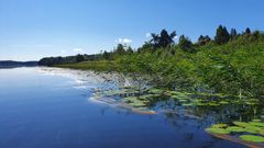 Suolijärvi. Kuva: Heini-Marja Hulkko