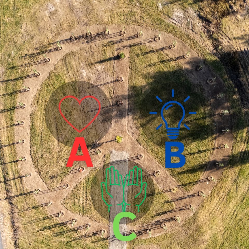 Kaaviokuva Peace Circle® -rauhanympyrästä.  