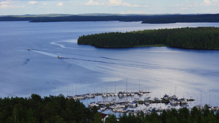 Suomen venealan vuoden 2022 myyntikausi käynnistyi totuttua aikaisemmin. ”Veneiden pitkät toimitusajat ovat tasanneet veneiden myyntikauden huippua, kun venekauppa on käynyt erinomaisesti läpi talven. Kylmä ja myöhäinen kevät on kuitenkin hidastanut veneiden vesillelaskuja usealla viikolla, mikä näkyy myös tammi-huhtikuun venerekisteröinneissä”, kertoo Venealan Keskusliitto Finnboatin toimitusjohtaja Jarkko Pajusalo.