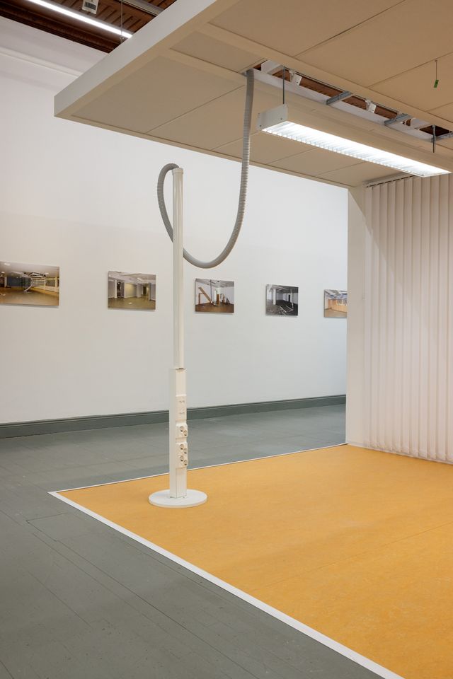 Liisa Ryynänen: Inventaario (2024)