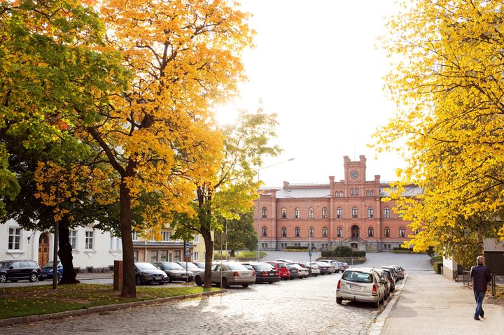 Kuva: Katja Lösönen