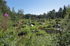 Viljelypalsta Uutelassa. Kuva: Helsingin kaupungin aineistopankki / Jan Salonen.
