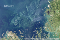 Algmattorna i södra Bottenhavet syntes i satellitbilder onsdagen den 20.7.2022.