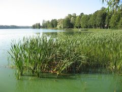 Vihdin Enäjärvi