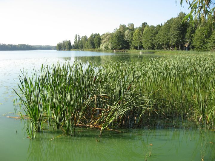 Vihdin Enäjärvi