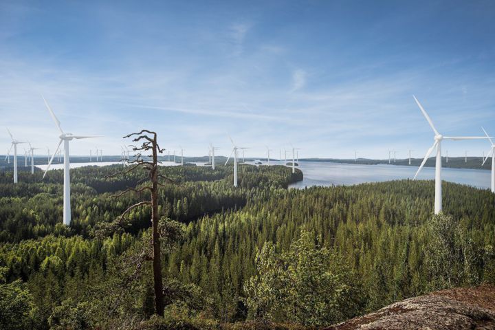 Uusi suomalainen kansallismaisema? Visualisointi taiteilijan näkemyksellä, Pelastetaan Suomen Luonto ry.