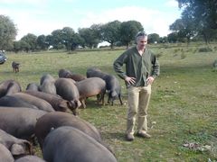 Josh Merrow ja Iberian porsaat