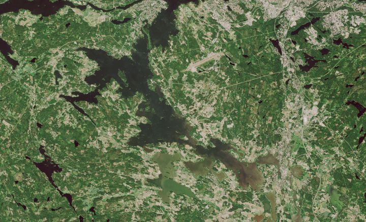 Satelliittikuva Pyhäjärvestä heinäkuulta. Sisältää muokattua Copernicus-dataa & USGS/NASA Landsat program dataa. SYKE (16.7.2021).