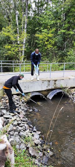 Näytteidenottoa Vartiokylänlahteen laskevien purojen varsilla. Kuva: Ella Pippingsköld / Alleco Oy