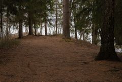 Kaivauspaikka Bodominjärvellä. Kuvaaja Emmi Karvinen.