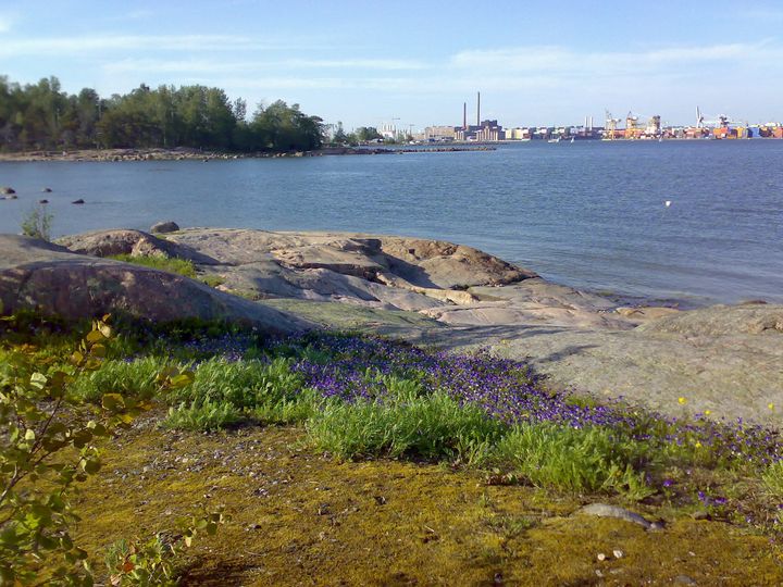 Kuva: Helsingin kaupunki / Pekka Lankinen.