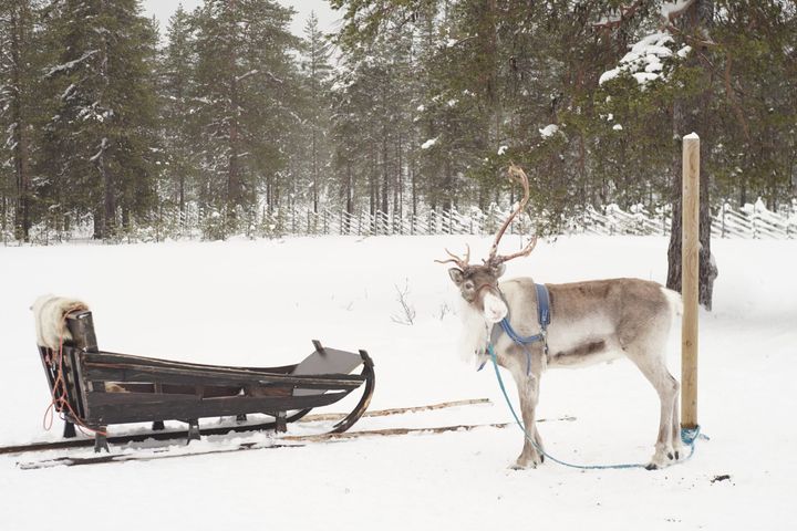 Kuva: kuviasuomesta.fi