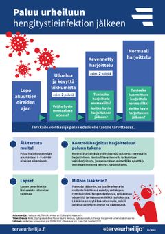 Terve urheilija -ohjelman infograafi. Suomalaisen asiantuntijaryhmän laatima suositus urheiluun palaamisesta hengistystieinfektion jälkeen.