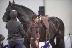 Horse Fair -messuilla ratsastajille on tarjolla tuhti tietopaketti valmentautumisen tueksi. Kuva: Messukeskus.