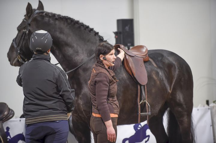 Horse Fair -messuilla ratsastajille on tarjolla tuhti tietopaketti valmentautumisen tueksi. Kuva: Messukeskus.