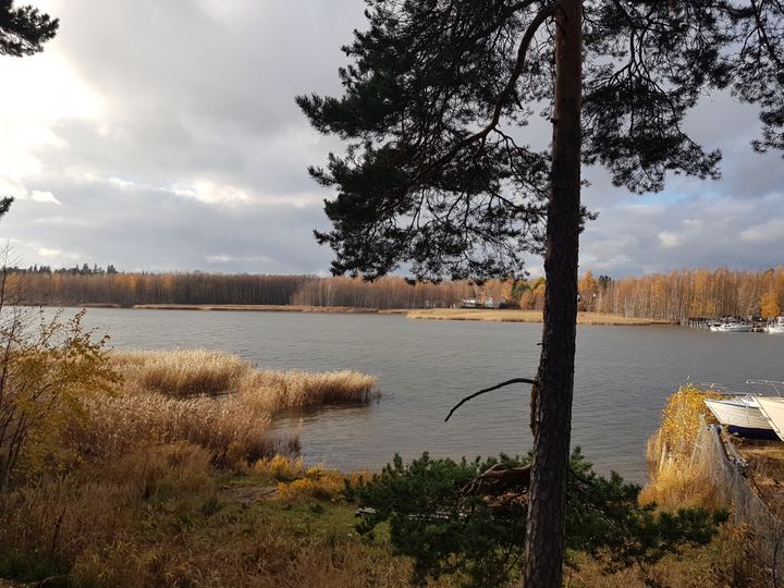 Vartiokylänlahden pohjoinen lenkki on suosittu virkistysreitti. Kuva: Sanna Meriläinen