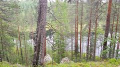 Suojelualueen useat lammet kaunistavat maisemakuvaa. Kuva Pekka Korhonen.